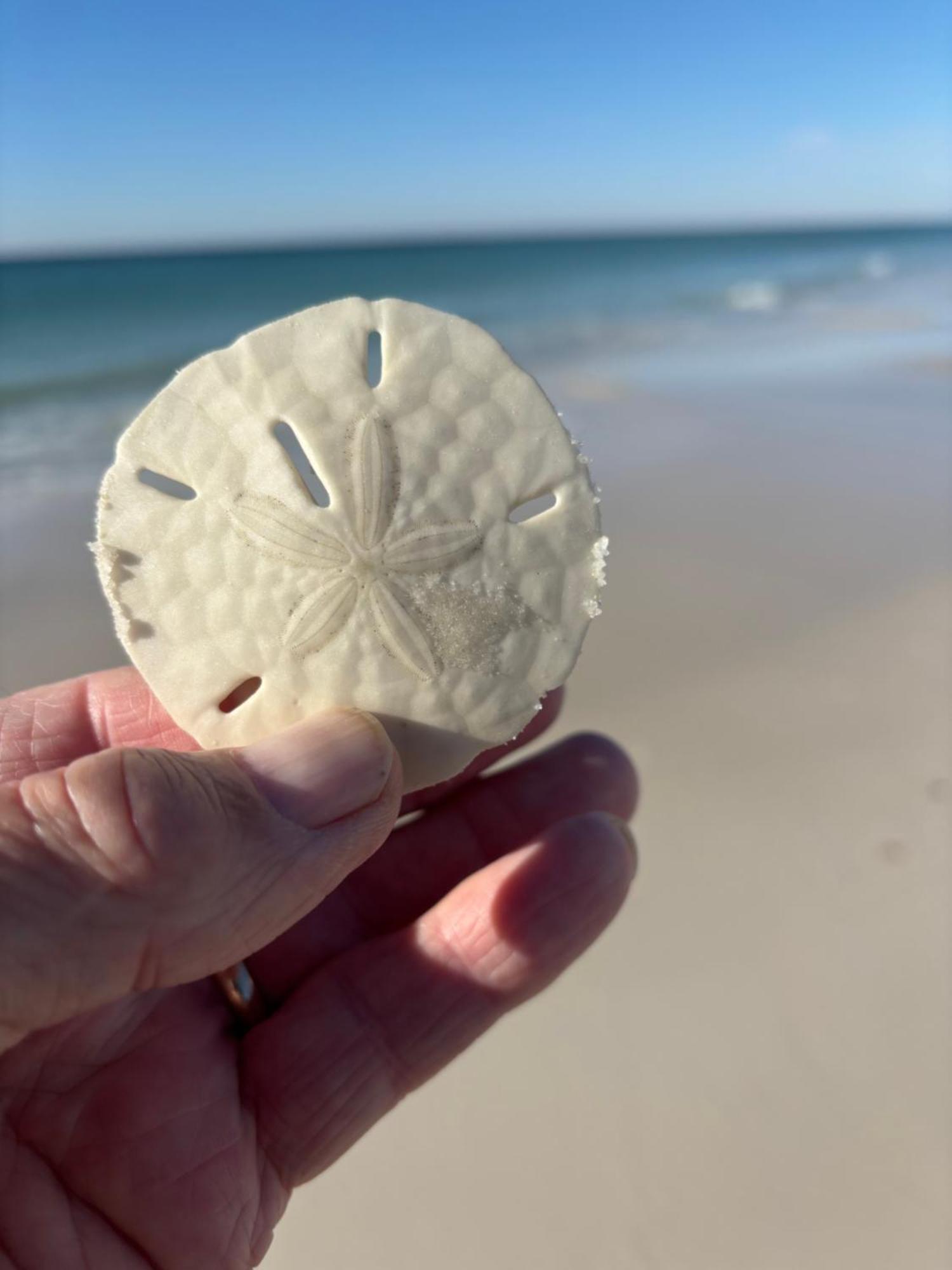 Waterscape White Sands 沃尔顿堡滩 外观 照片